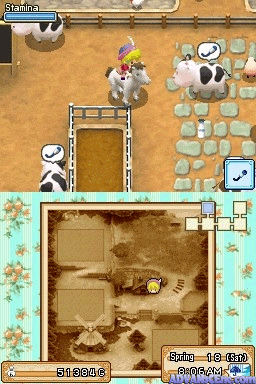 Harvest Moon: Grand Bazaar screenshot 3 for Nintendo DS